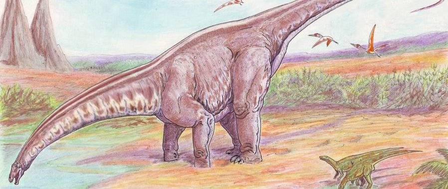 drawing of Apatosaurus